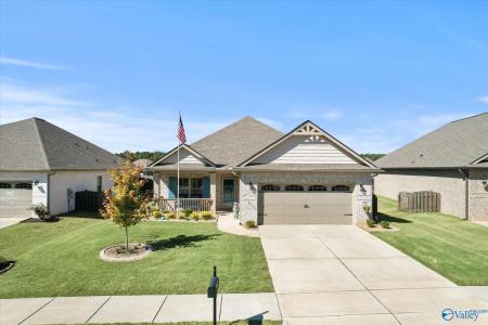 21995 Natures Cove Drive, Athens, 阿拉巴馬州 35613, 美國