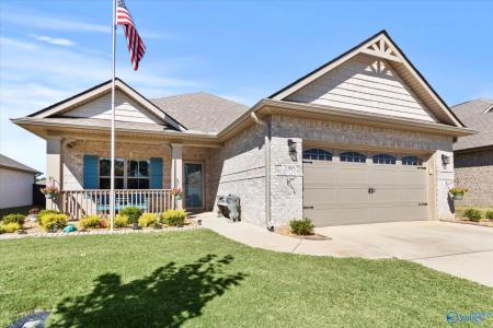 21995 Natures Cove Drive, Athens, 阿拉巴馬州 35613, 美國