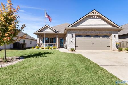 21995 Natures Cove Drive, Athens, 阿拉巴馬州 35613, 美國