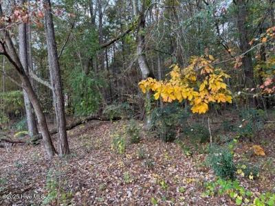 0 Nc 30, Stokes, North Carolina 27884, USA