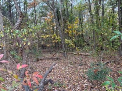 0 Nc 30, Stokes, North Carolina 27884, USA