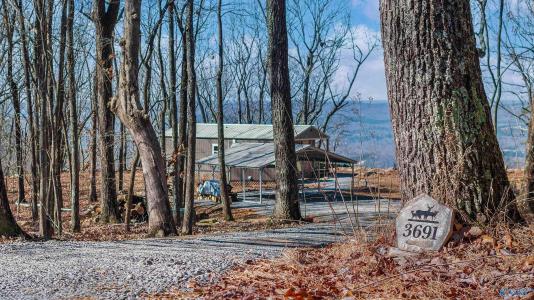 3691 Citadel Rock Road, Fort Payne, Alabama 35967, États-Unis