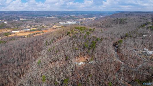 3691 Citadel Rock Road, Fort Payne, Alabama 35967, États-Unis