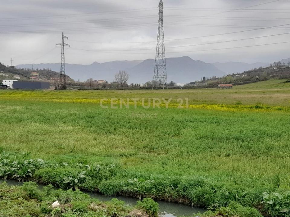 Yzberish, Tirana, אלבניה