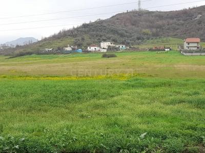 Yzberish, Tirana, אלבניה