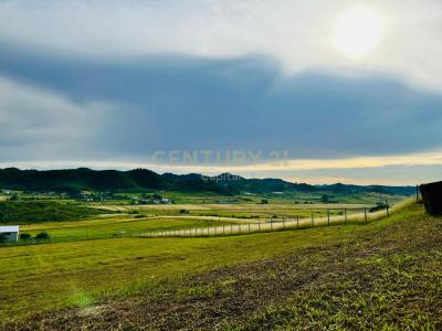 Periferia Tiranë, Tirana, Albania