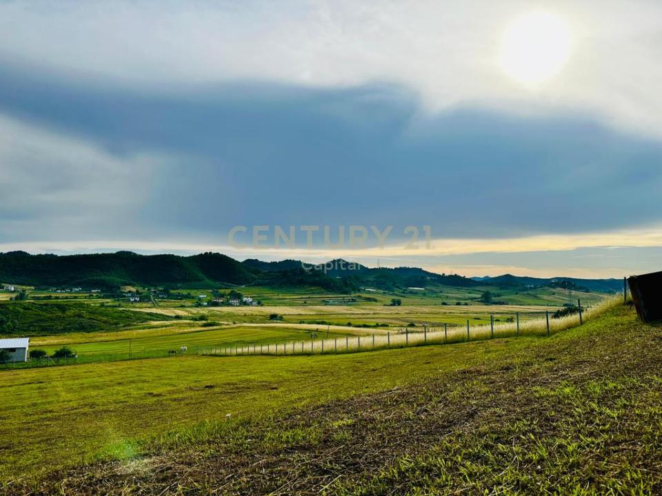 Periferia Tiranë, Tirana, אלבניה 