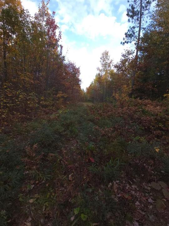 Ch. de la Centrale, Mansfield-et-Pontefract, Quebec J0X 1R0, Canada