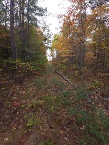 Ch. de la Centrale, Mansfield-et-Pontefract, Quebec J0X 1R0, Canada