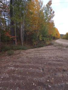 Ch. de la Centrale, Mansfield-et-Pontefract, Quebec J0X 1R0, Canada