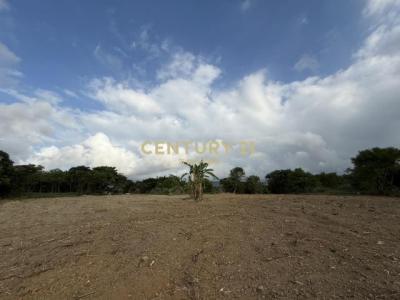 新庄段, Sanzhi Dist., Nouveau Taipei 252, Taïwan