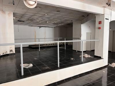 Cartaxo, Santarém 2070-230, Portugal