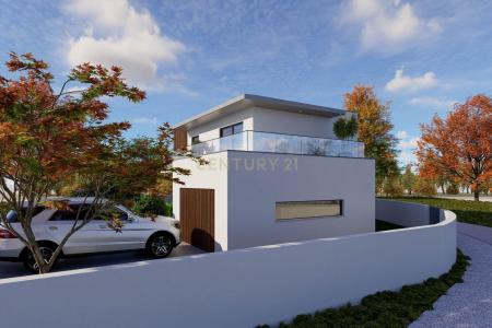 Anadia, Aveiro 3780-523, Portugal