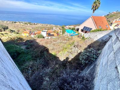 Santa Cruz De Tenerife, Canarias 38360, Spain