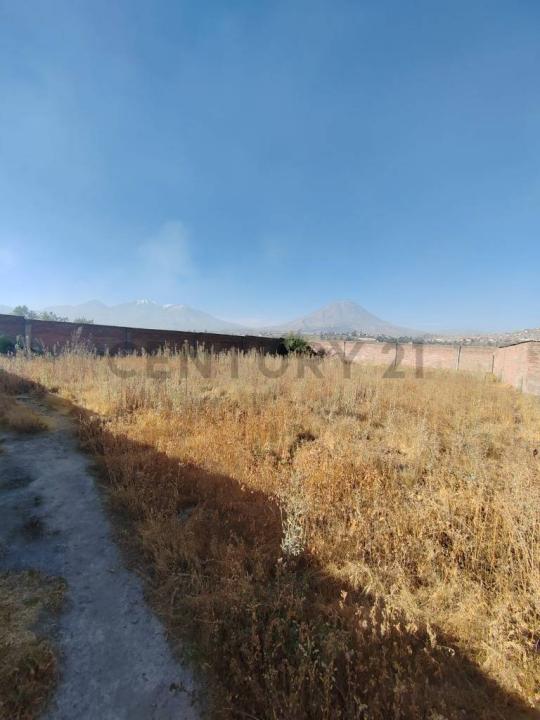 Avenida colon , Arequipa, Arequipa 00001, 秘魯