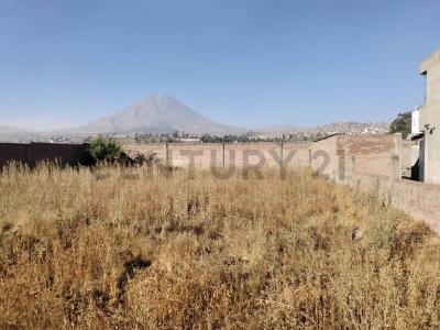 Avenida colon , Arequipa, Arequipa 00001, 秘魯