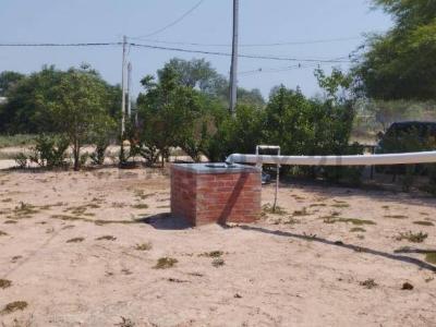 Calle 5 08, Filadelfia, Boquerón 9300, Paraguay