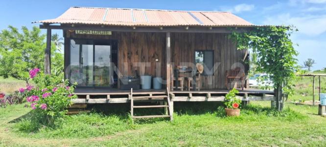 Isla Doña Maria s/n,, Tecolutla, Veracruz 93570, Mexico