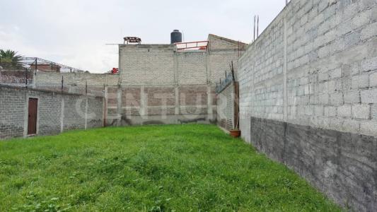 Cda. La Habana 4,, Tláhuac, Ciudad De México 13050, 墨西哥