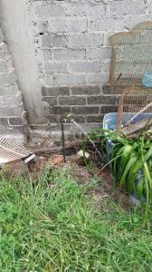 Cda. La Habana 4,, Tláhuac, Ciudad De México 13050, 墨西哥