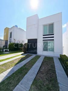 violetas 115,, San Agustín Tlaxiaca, Hidalgo 42162, Mexique