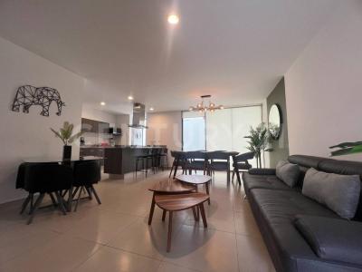 Cirio 10 43 C,, El Marqués, Querétaro 76269, Mexique