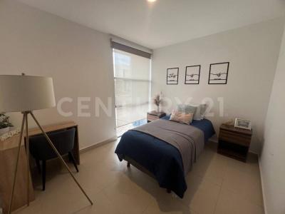 Cirio 10 43 C,, El Marqués, Querétaro 76269, Mexique