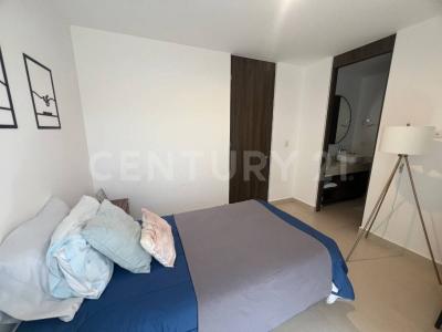 Cirio 10 43 C,, El Marqués, Querétaro 76269, Mexique