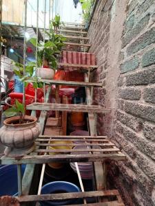 Miguel Hidalgo ,, Ecatepec De Morelos, Estado De México 55187, Mexiko