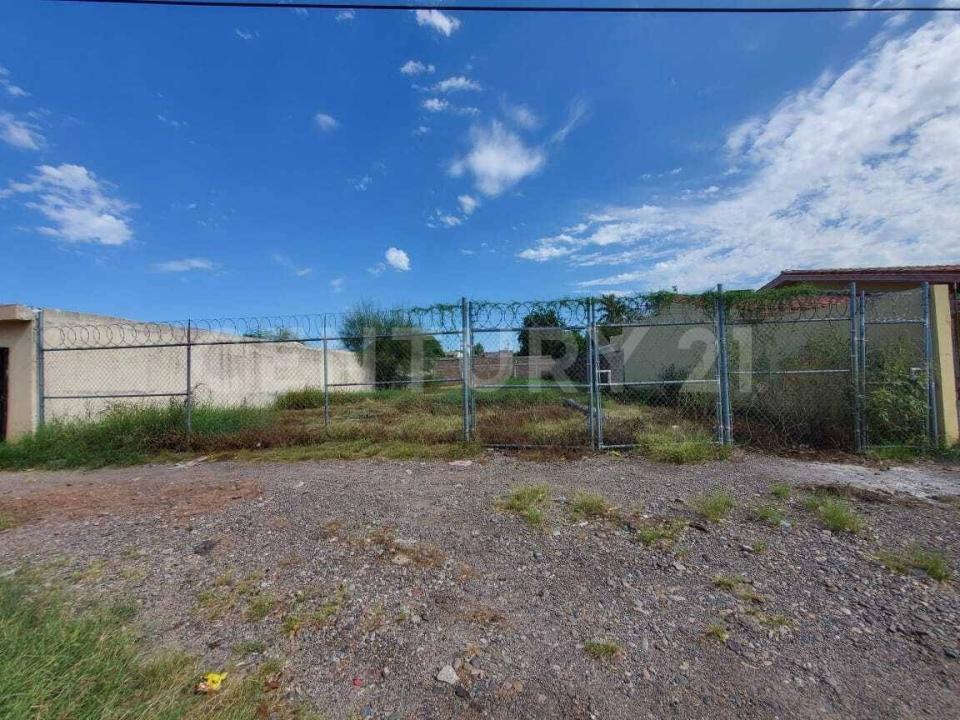 Cajeme, 索诺拉 85110, 墨西哥