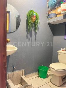 Tonala, 哈利斯科 45408, 墨西哥