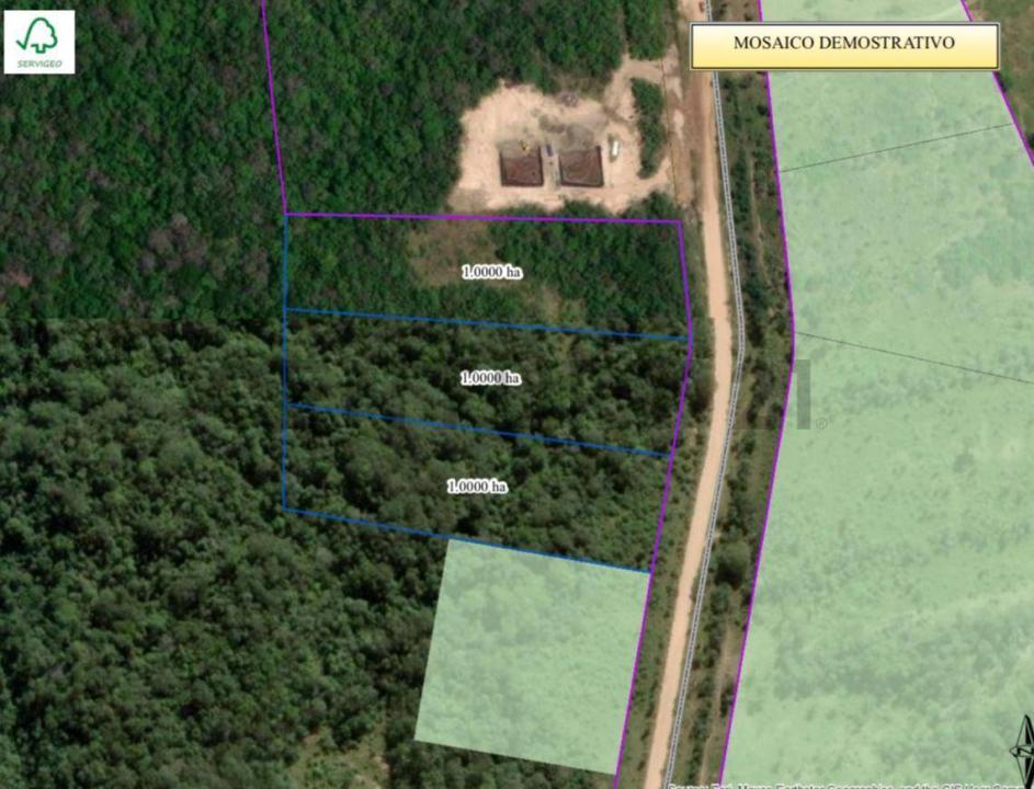 Cantón Terebinto, Distrito 52, Brecha Gasoducto , Urubo, Santa Cruz 00001, בוליביה