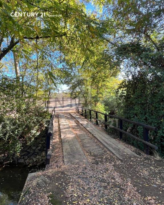 Talca, Región Del Maule 00001, 智利