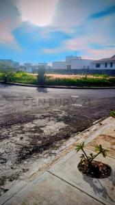 Vista Alegre Terrazas de Bella Vista, Caracas, Distrito Capital 00001, Venezuela