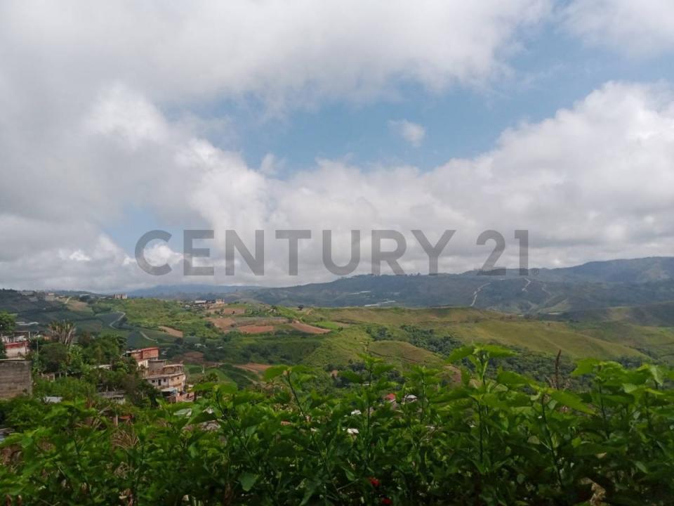 Los Teques, Miranda 00001, Venezuela