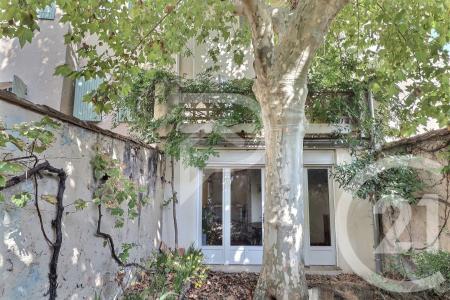 Carpentras, Provence-Alpes-Côte D'Azur 84200, France