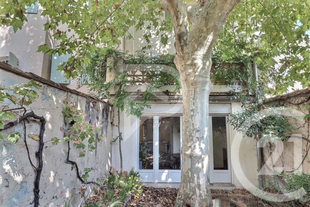 Carpentras, Provence-Alpes-Côte D'Azur 84200, צרפת