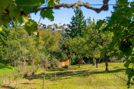 Brno, Brno-město 100 00, Czech Republic