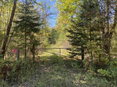 N1367 Hager City Rd, Merrill, Wisconsin 54452, USA