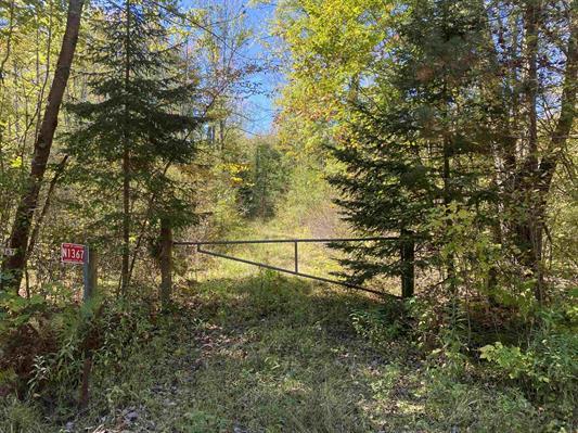 N1367 Hager City Rd, Merrill, Wisconsin 54452, Estados Unidos