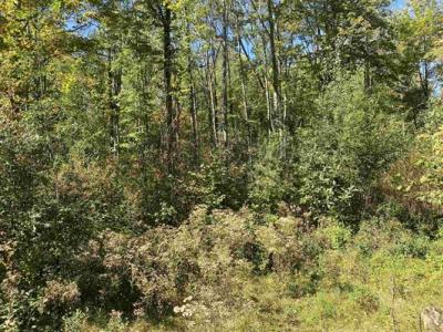 N1367 Hager City Rd, Merrill, Wisconsin 54452, Estados Unidos