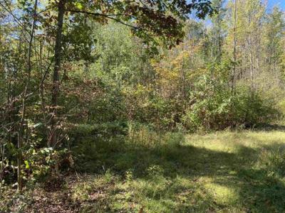 N1367 Hager City Rd, Merrill, Wisconsin 54452, Estados Unidos