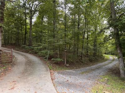 0 Turkey Mountain Road Ne, Roma, Geórgia 30165, Estados Unidos