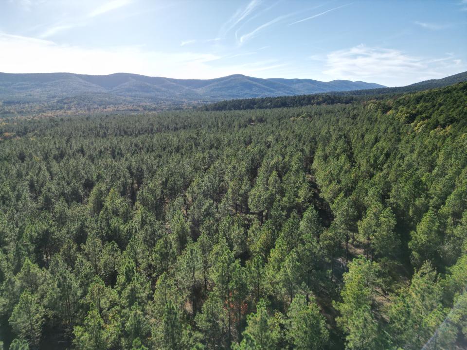 Unk Polk Road 90, Mena, Arkansas 71953, Amerika Birleşik Devletleri