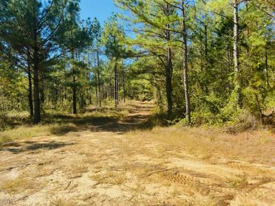 Unk Polk Road 90, Mena, Arkansas 71953, Amerika Birleşik Devletleri