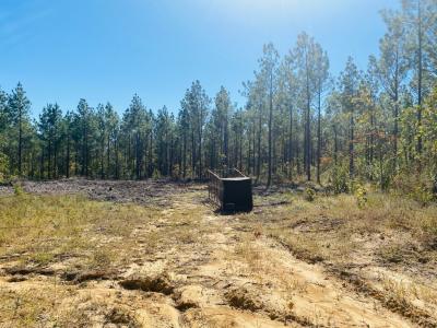 Unk Polk Road 90, Mena, Arkansas 71953, Amerika Birleşik Devletleri