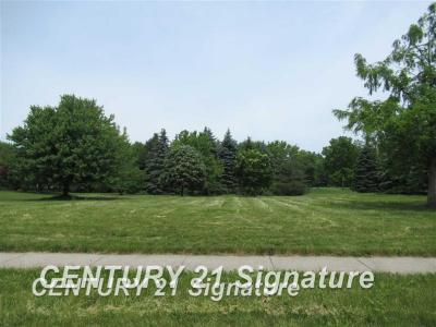 88 Lumbermen, Saginaw, ミシガン 48603, アメリカ合衆国