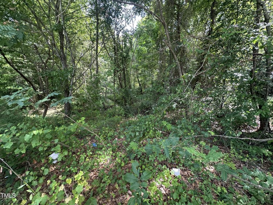 322 & 332 Courtland, Angier, ノースカロライナ 27501, アメリカ合衆国