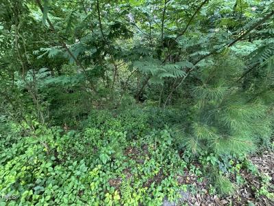 322 & 332 Courtland, Angier, ノースカロライナ 27501, アメリカ合衆国