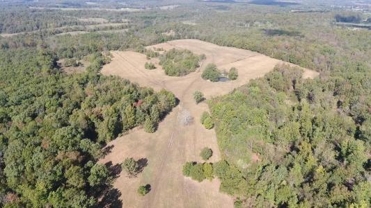 000 County Road 113, Alton, 密苏里州 65606, 美国